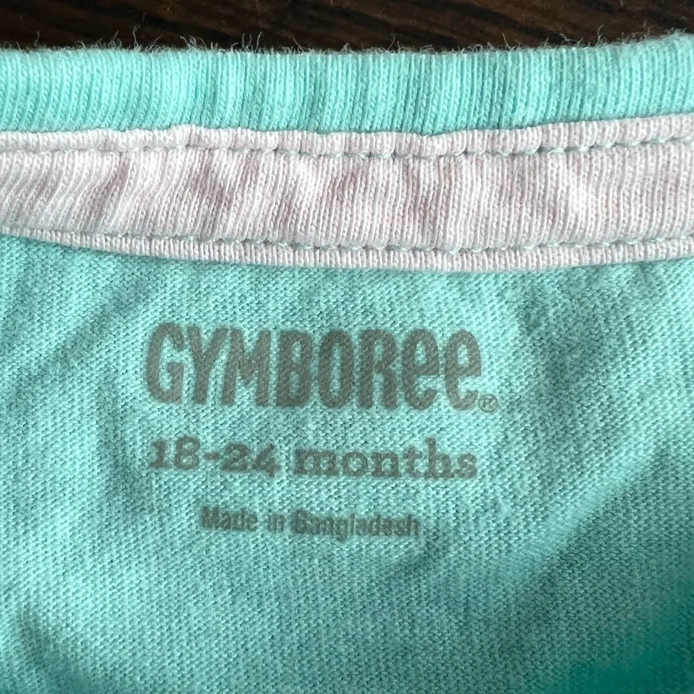 Gymboree Size 18-24 Months Sweater with Attached TuTu